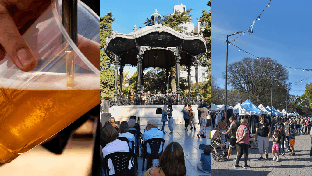 Fin de semana cultural en La Plata: el Paseo Meridiano V, la Feria de la Batata y el Festival de la Cerveza Capital