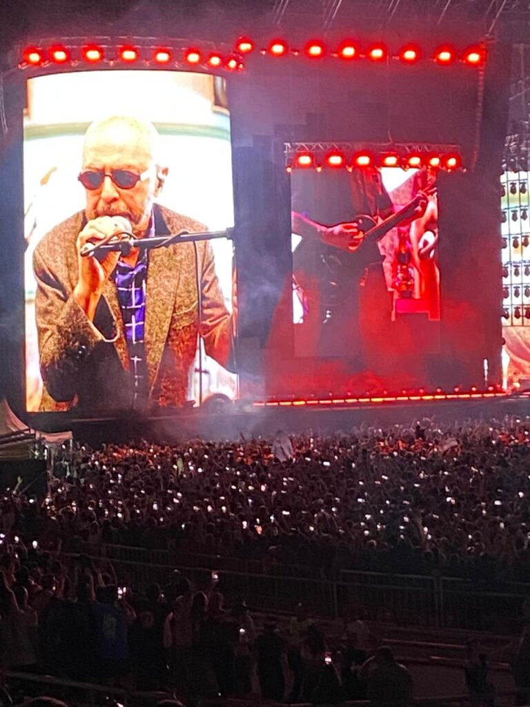 El conmovedor saludo del Indio Solari y cómo ver en YouTube el segundo recital de Los Fundamentalistas