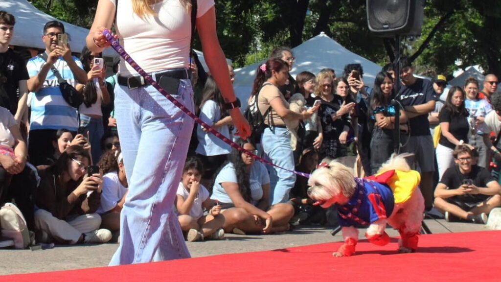Desfile de mascotas en La Plata: domingo con vacunación gratis, adopciones y feria en Plaza Azcuénaga
