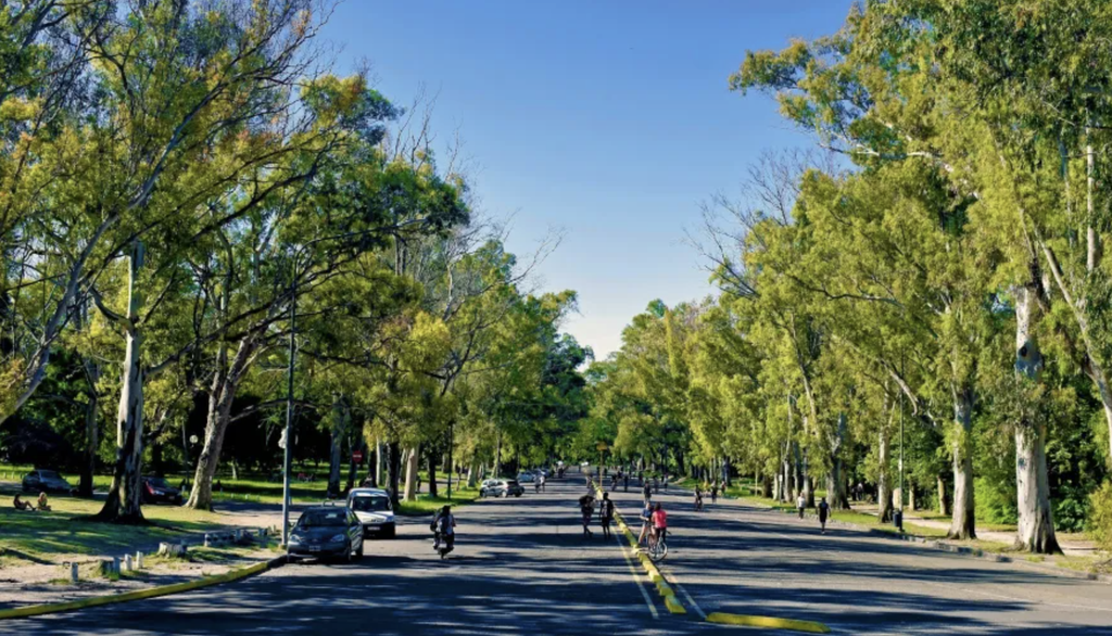 Paseo del Bosque: arrancó la puesta en valor mientras crece el debate por la gestión del espacio público