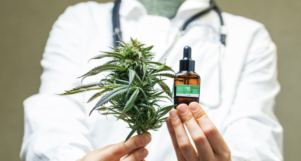 La Provincia creó un consejo para definir las políticas de cannabis medicinal