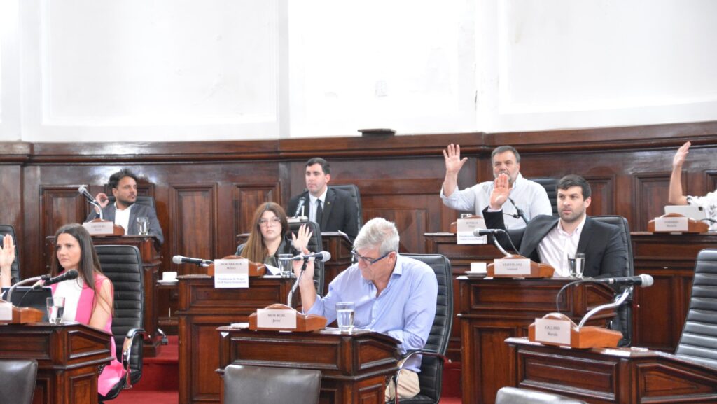 Paro de micros en La Plata: subsidios y sanciones coparon el debate en el Concejo Deliberante