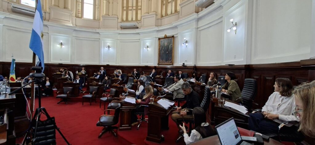 El Concejo de La Plata aprobó por unanimidad relicitar el sistema de micros