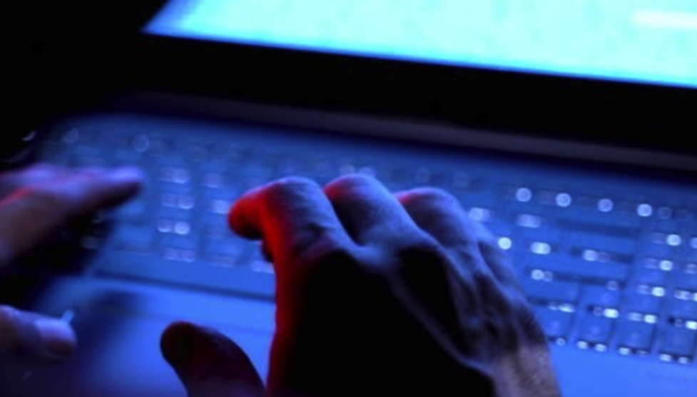 Crecen las estafas digitales que imitan al Banco Provincia: advierten sobre una nueva modalidad de phishing
