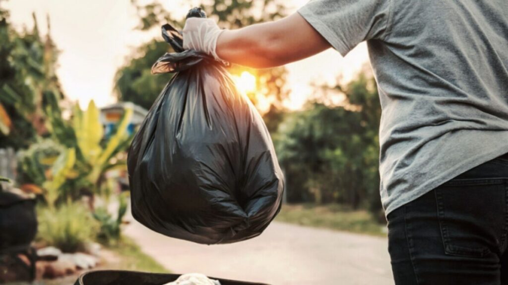 Servicios municipales durante el feriado del 9 de julio: qué funcionará y qué no en La Plata