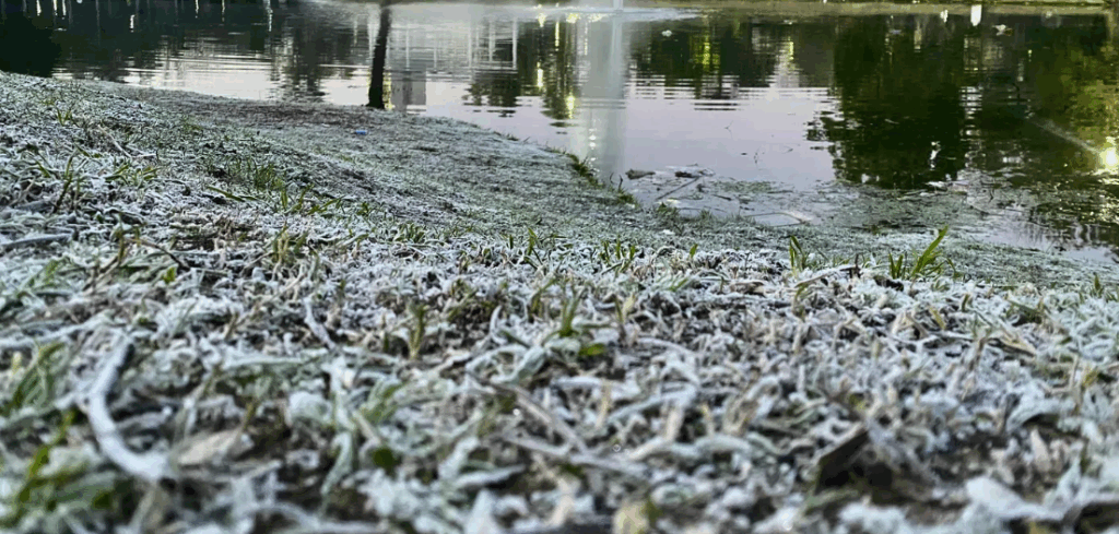 La Plata bajo cero: la ciudad registró -4°C y el SMN mantiene el alerta por frío extremo