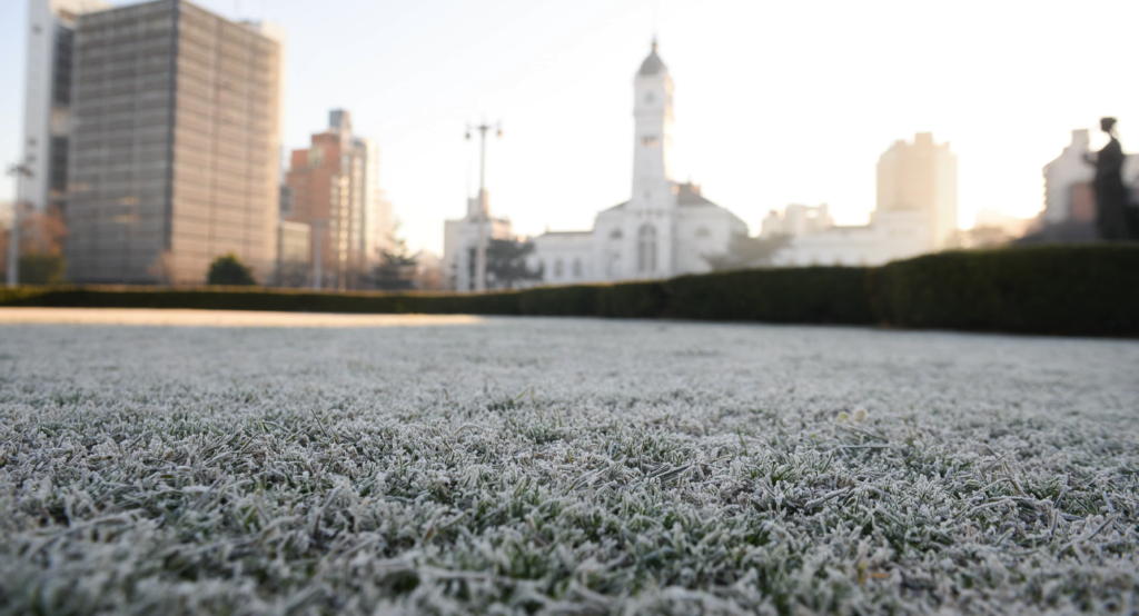 Heladas a la vista: La Plata enfrenta la semana más fría del otoño con mínimas que rozarán los 2°C