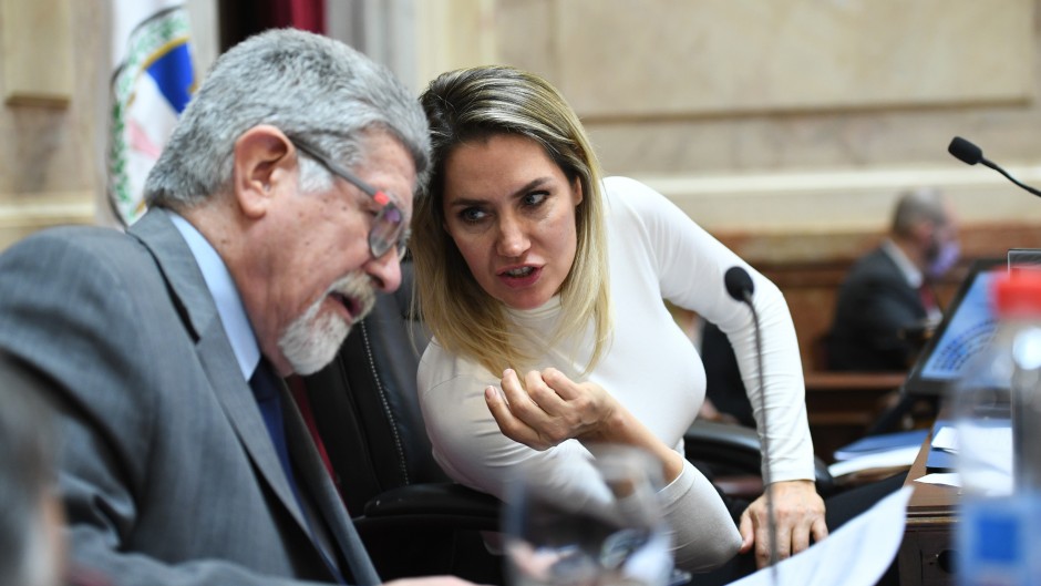 UCR y PRO desafían a Milei: el Senado se rebela contra el retiro del pliego de la jueza federal para La Plata
