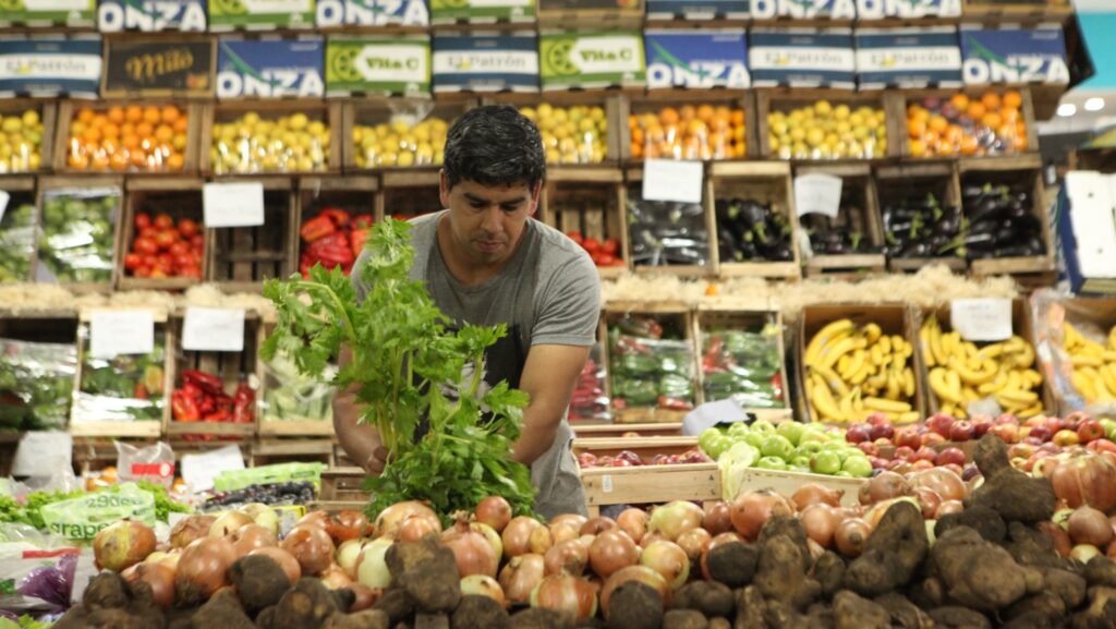 Mercado Bonaerense Fijo La Plata: precios y reintegros hasta el 1 de octubre