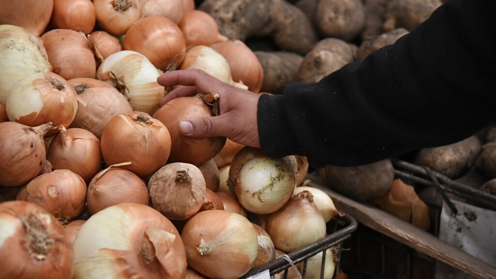 Nuevas promociones en el Mercado Bonaerense de La Plata: precios y descuentos para el ahorro familiar