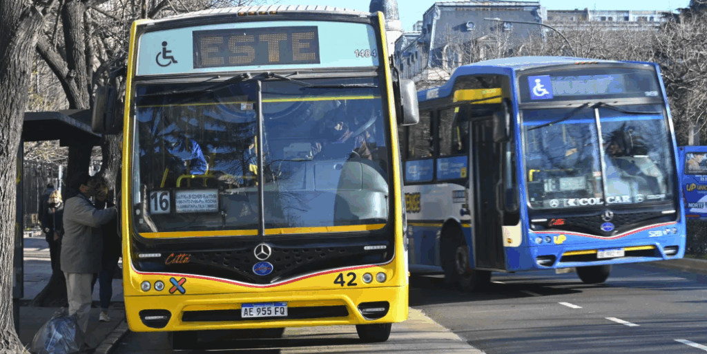 La Plata avanza con la reconfiguración del sistema de micros: los nuevos recorridos que proyecta la gestión municipal