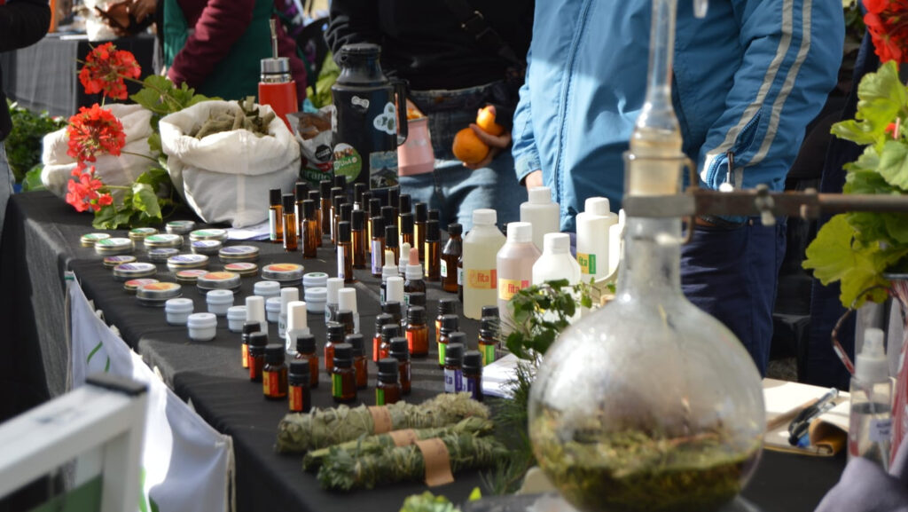 Feria agroecológica en el Bosque: alimentos sanos, talleres y propuestas para toda la familia