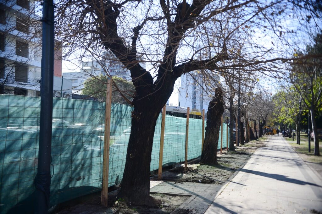 La Municipalidad avanza con el cerramiento y recuperación integral del Parque Saavedra