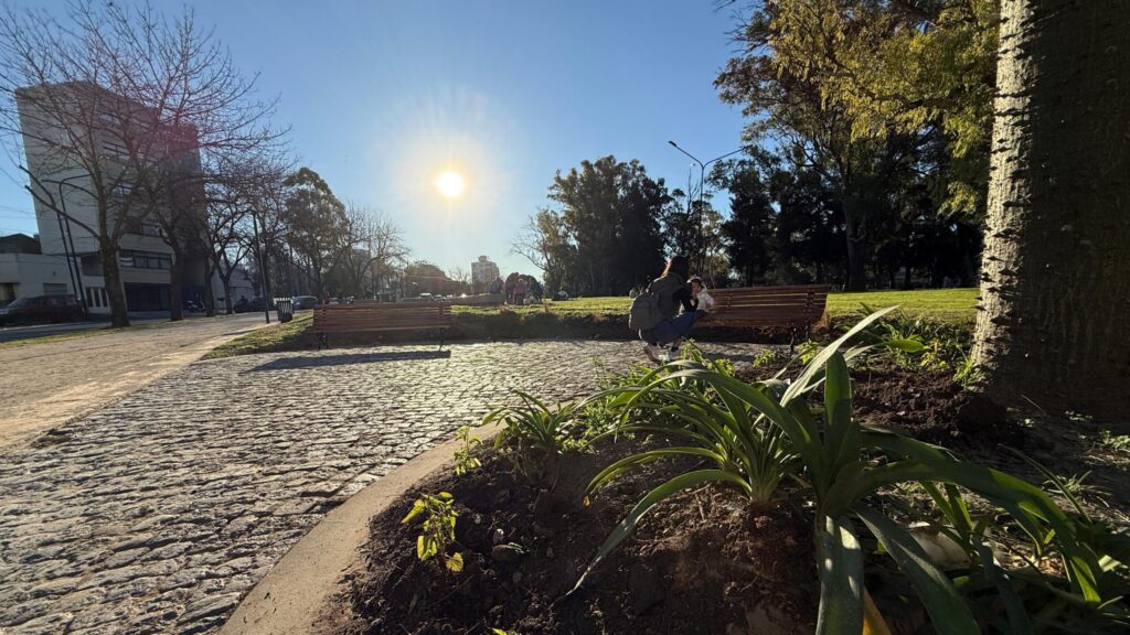 Avanza la puesta en valor del Parque San Martín con nuevas obras y espacios verdes