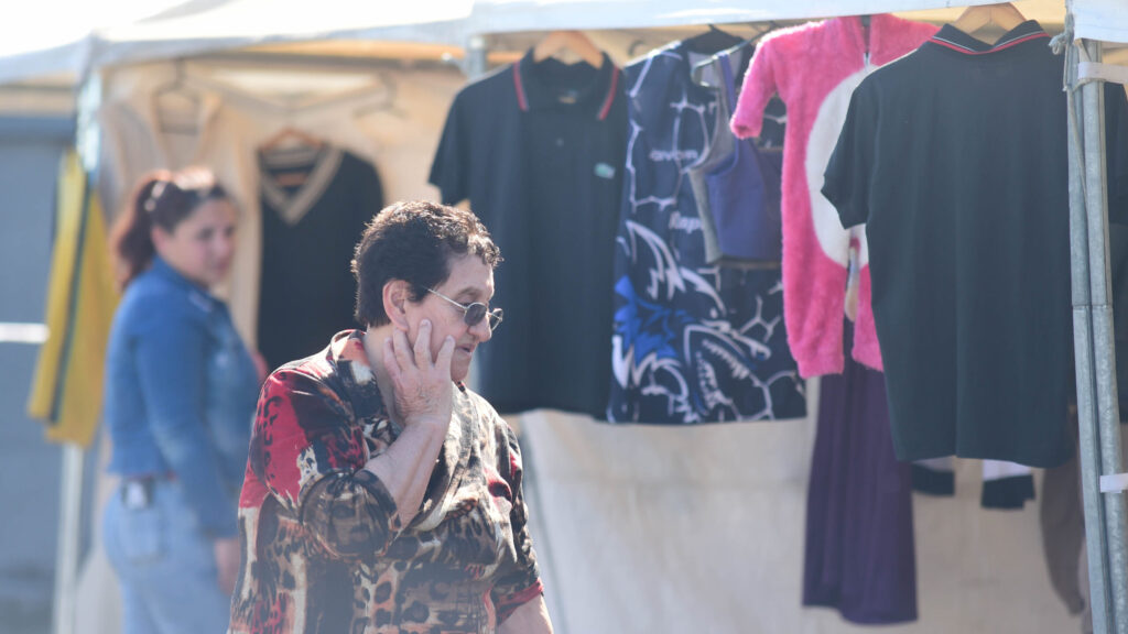 Paseo de Compras del Sur II: indumentaria, vivero, regalería y más en Villa Elvira