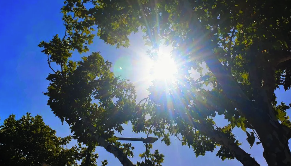 Vuelve el calor a La Plata tras las lluvias: máximas de hasta 32°C y chance de tormentas a mitad de semana
