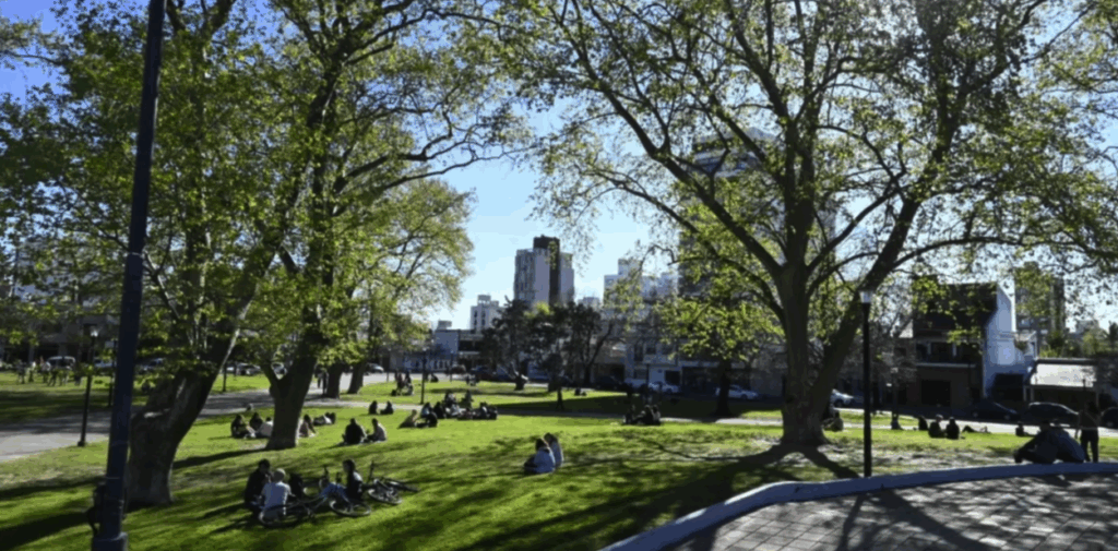 Fin de semana con sol y temperaturas agradables: así estará el clima en La Plata